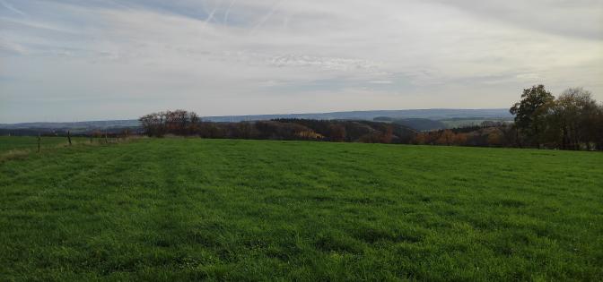 prairie