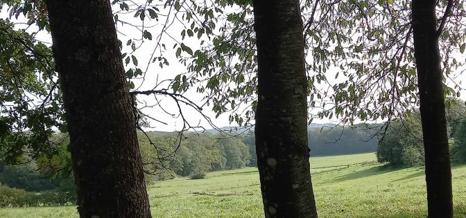 a co^te de la foret d'anlier (700 ha)